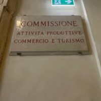 audizione-dress-the-change-camera-deputati
