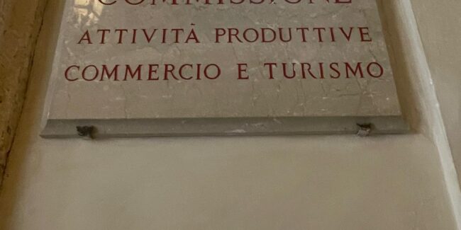 audizione-dress-the-change-camera-deputati