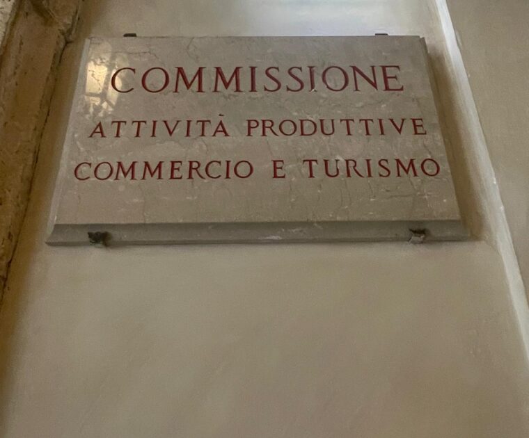 audizione-dress-the-change-camera-deputati