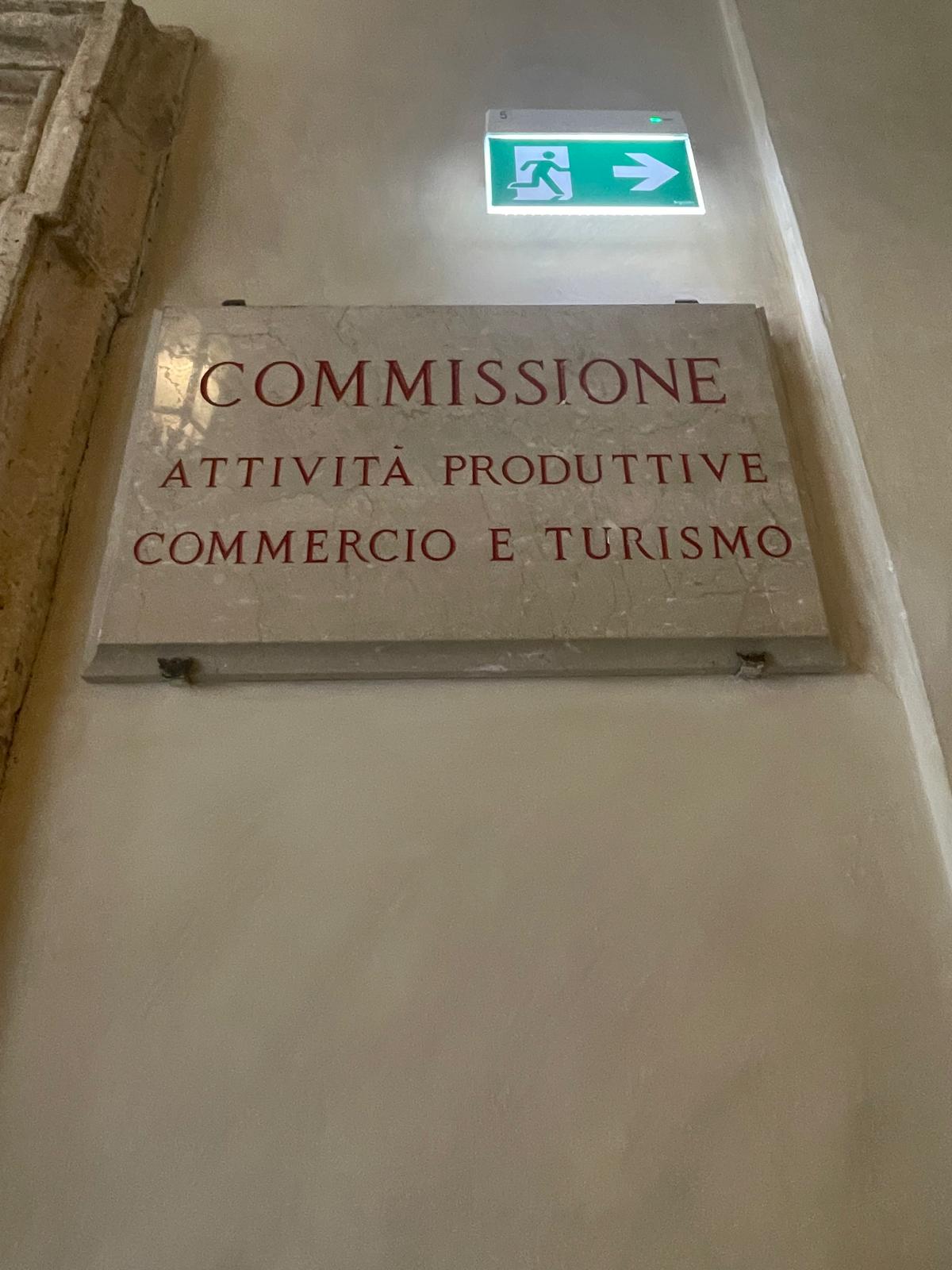 audizione-dress-the-change-camera-deputati